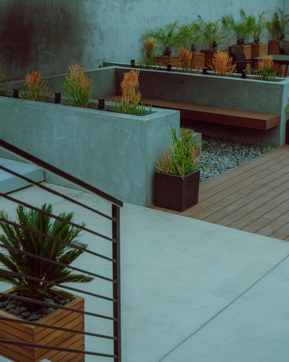 Rooftop Garden
